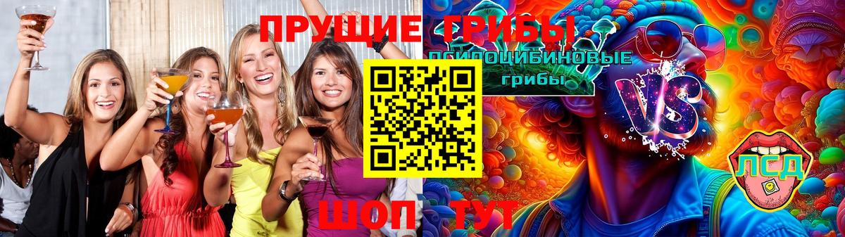 наркотики  Галлюциногенные грибы ЛСД  Грозный  Вход с VPN  Псилоцибиновые грибы Cubensis 