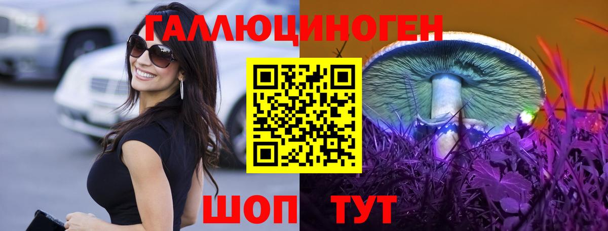 Галлюциногенные грибы Cubensis Грозный